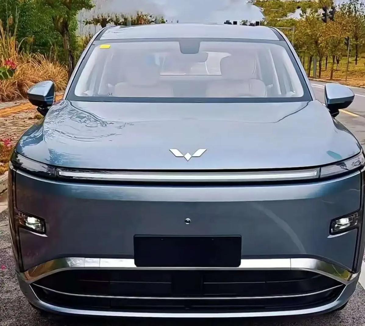 五菱神车，再出新品！

星光L，车身长近5米，搭载油电混合系统，采用1.5L发动
