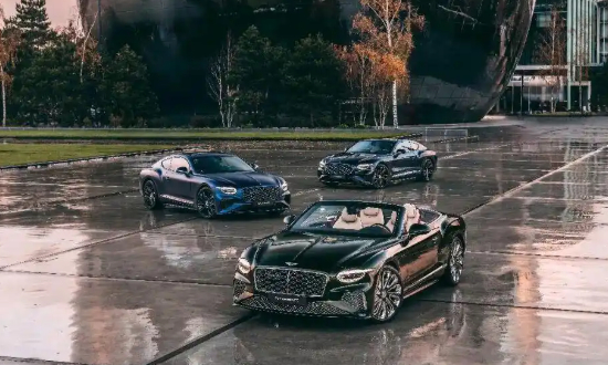 好家伙，宾利最近搞了个“荷兰大师系列”，直接把三个艺术巨匠的名画，做成了能上路跑