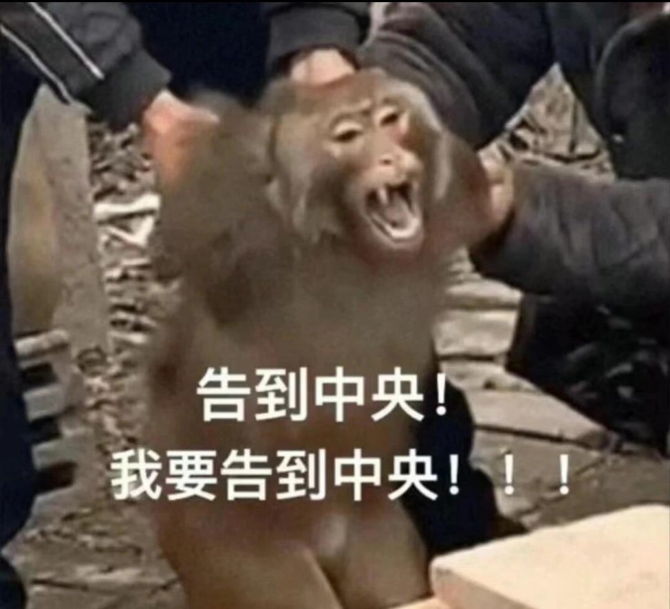 吗喽告到中央表情包 第2波 ​​​