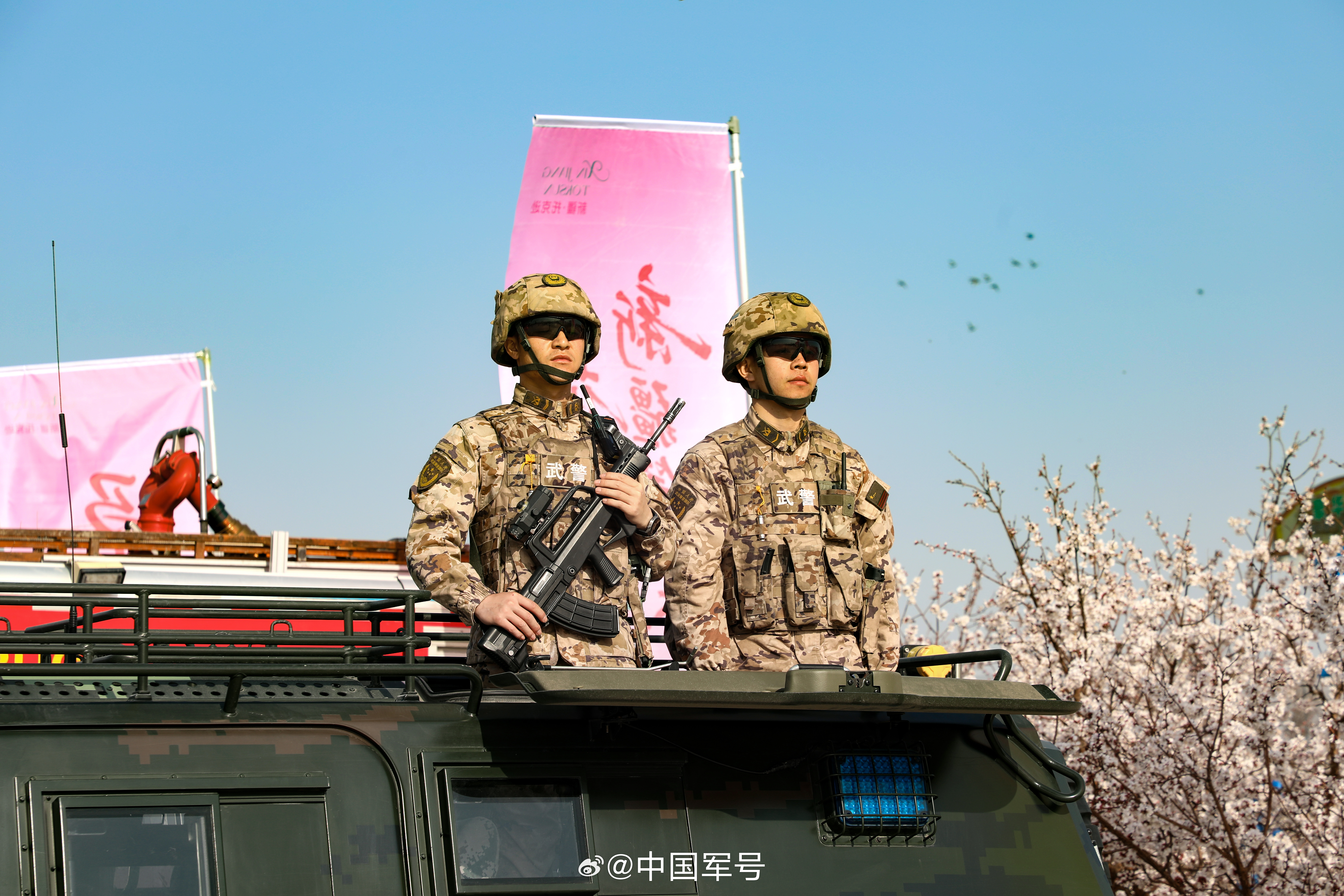 军号小夜灯 天气渐暖，春暖花开，又逢周末，小号手们有没有出去赏花呀？花海之间，正