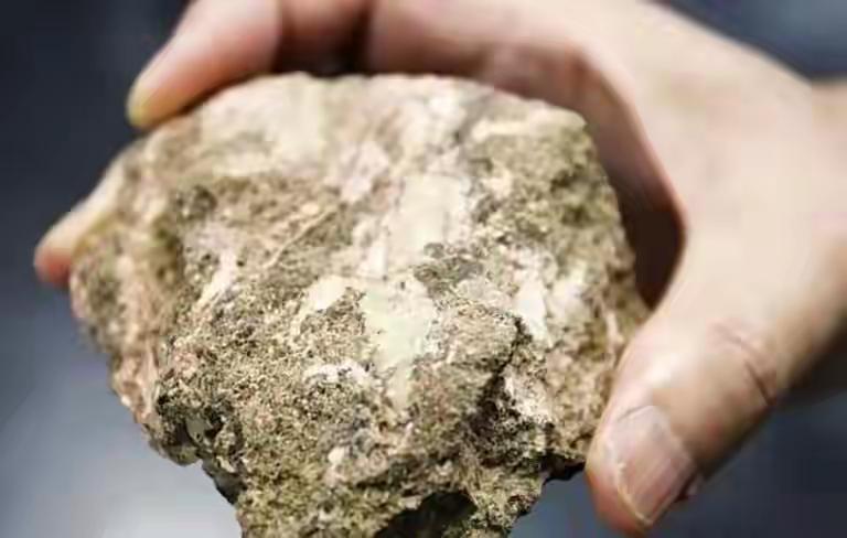 核心事实速览
 
1. 事件背景：1月19日联合国“防止及惩治危害人类罪外交大会