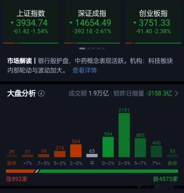 创业板指半日跌2.38% 医药板块逆势走强 商业航天、算力硬件概念震荡走低市场早