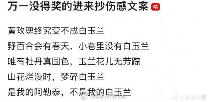 白玉兰的星光暂未眷顾，但创作的热忱永不熄灭。收拾行囊再出发，用更好的作品证明实力