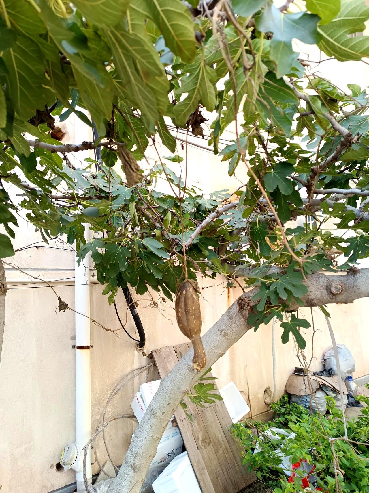 人一老，躺下了，饭得喂，路得扶。
甭管过去名片上印的啥头衔，兜里有多少钱，都成