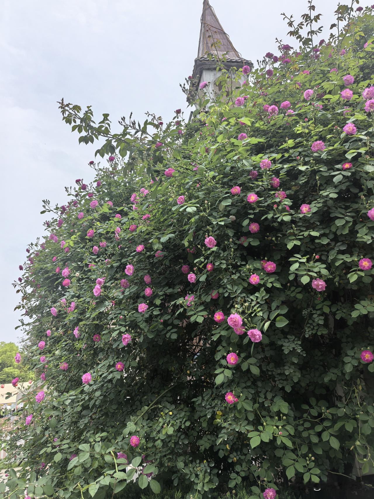 一个人总是在期待别人，肯定会过得不太好，会失望或绝望。

解脱的好方法应该是无限