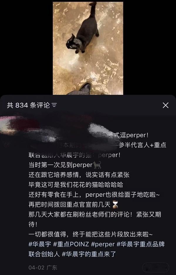 刻意抹黑真的辛苦你们了只是猫咪好奇偷偷舔了一口，全程无主动喂食、猫咪被精心饲养陪