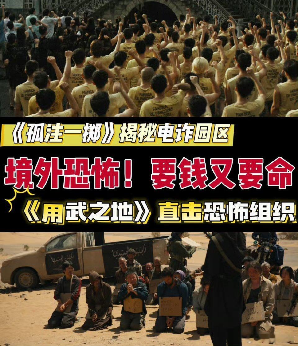 孤注一掷续集来了 狠狠期待《用武之地》上映！从精密诈骗到赤裸求生，跨年档就等这部