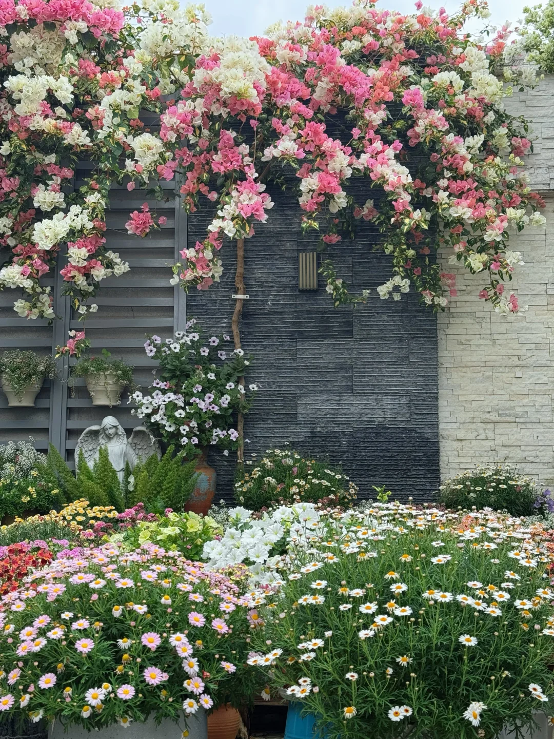 劝所有想入坑园艺的姐妹，先泼盆冷水