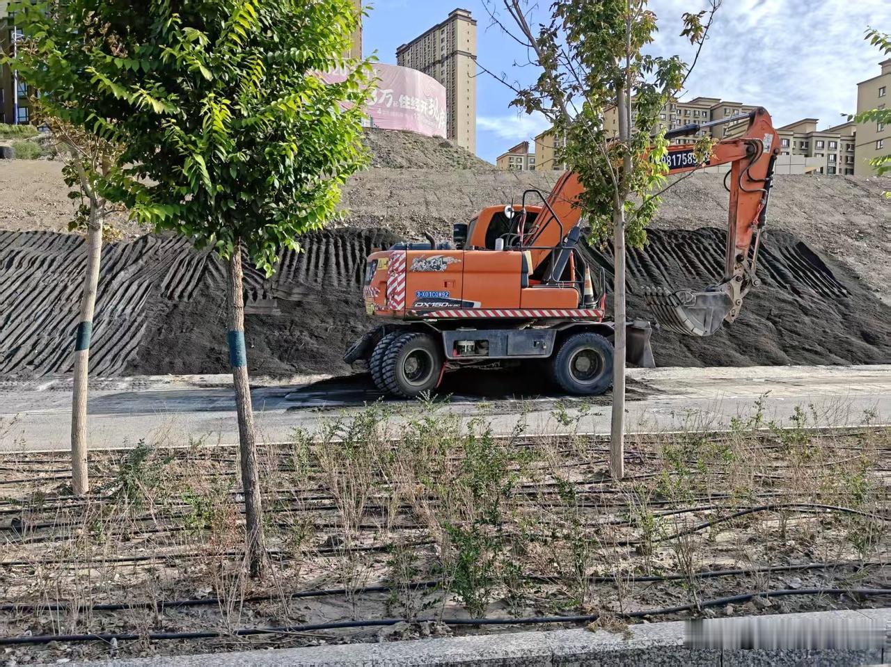 盼了许久的退后绿化“缩水”？西泉街现场实拍，居民直呼落差大
 
    西泉街退