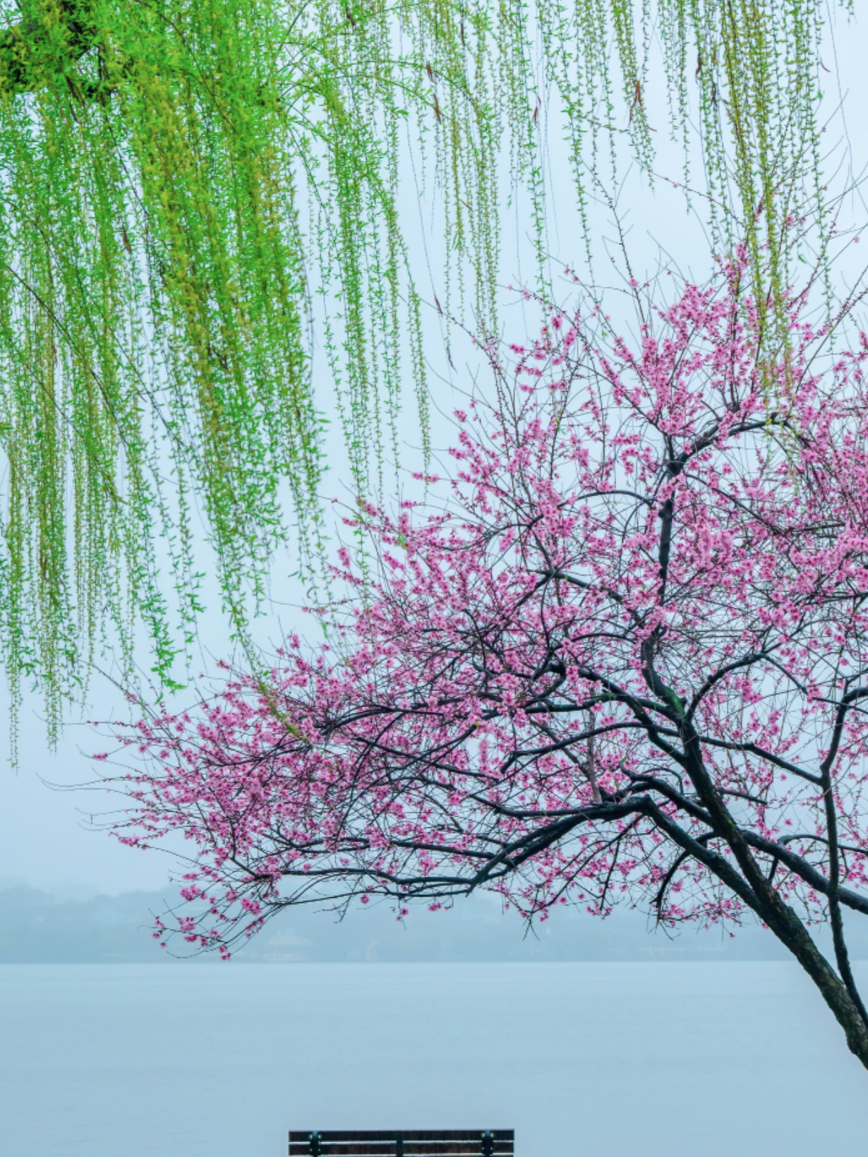春天，是一场盛大的新生，是大自然给予我们最慷慨的馈赠。它让我们在历经寒冬后，再次