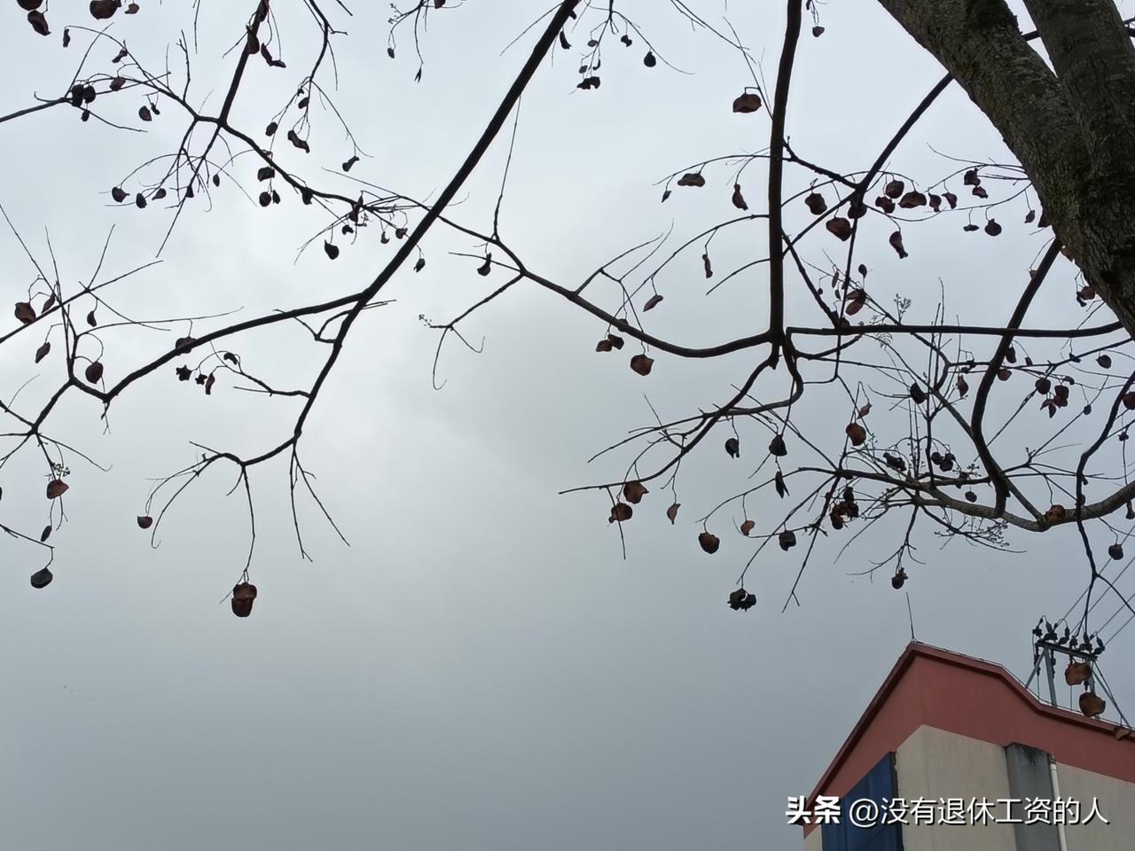 儿子放学一回来，就和我说，他们班今天又调座位了。

一周调一次座位很正常，谁都有