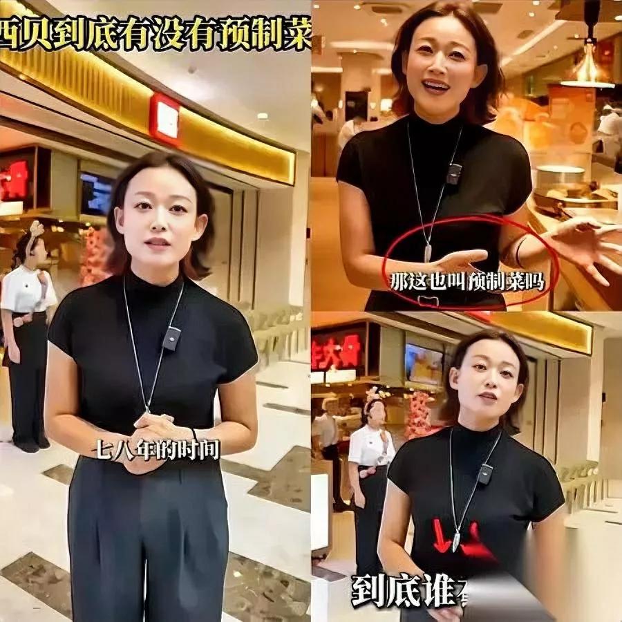 西贝女公关上线！

一句话怼懵罗永浩。

她说“2000年就在西贝干了七八年”，
