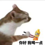 你好呀，我就喝一点~快来康师傅冰红茶联盟 ，品尝痛快滋味 无可替代 的冰红茶！ 