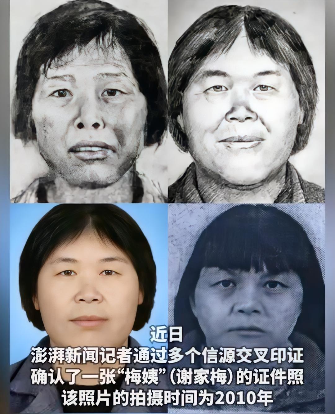 梅姨2010年证件照与画像对比