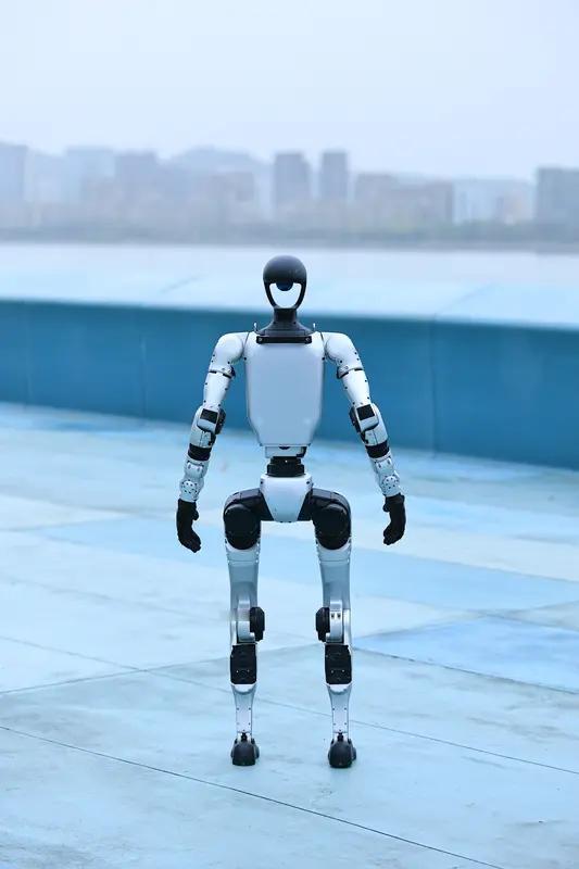 人形机器人租赁市场看似前景光明，实则暗藏不少风险。
价格体系那叫一个混乱，单台机