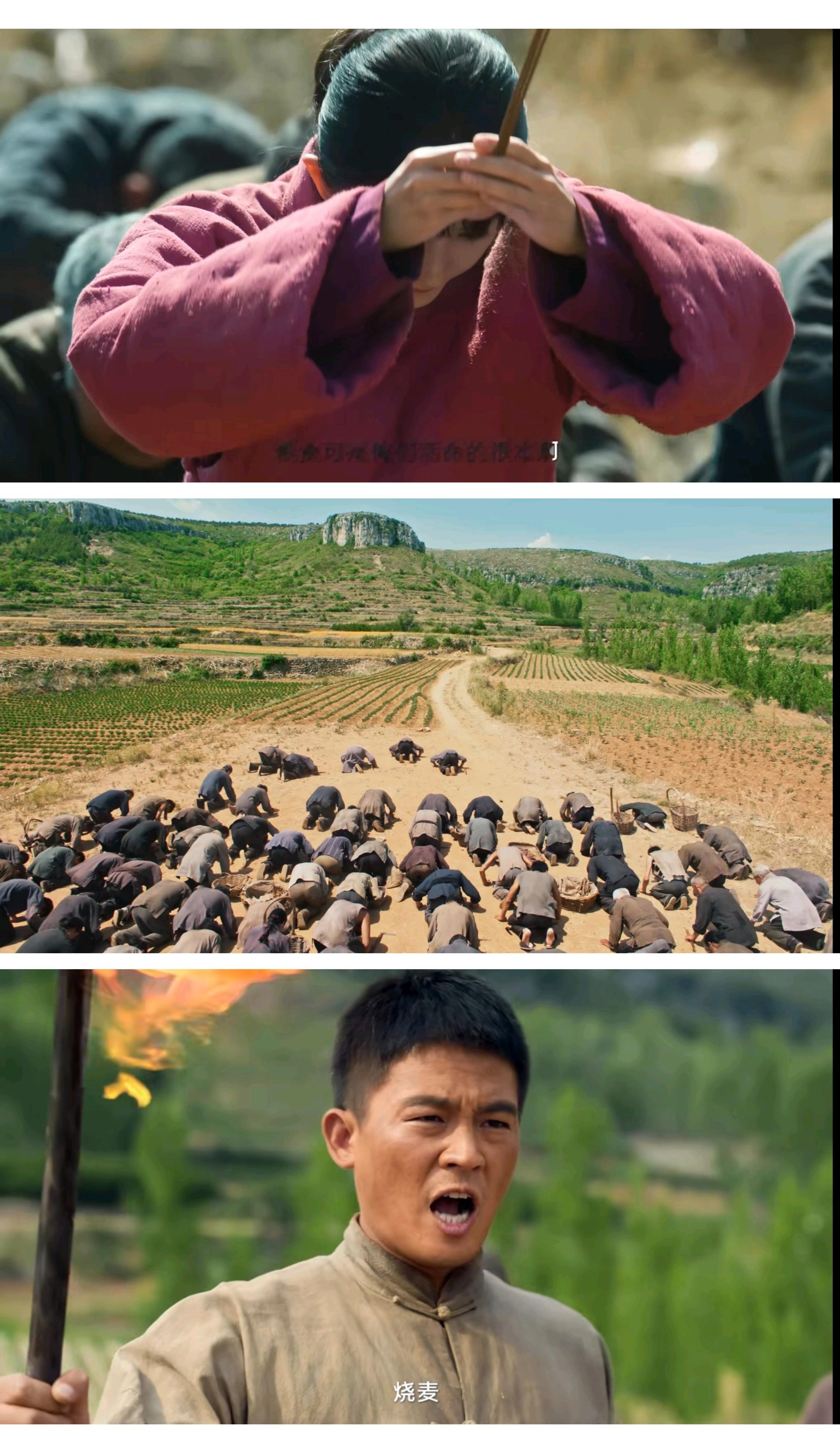 看完生万物 预告，有一段“身在土地，长在土地，却也死在土地”农民以地为本，却烧麦