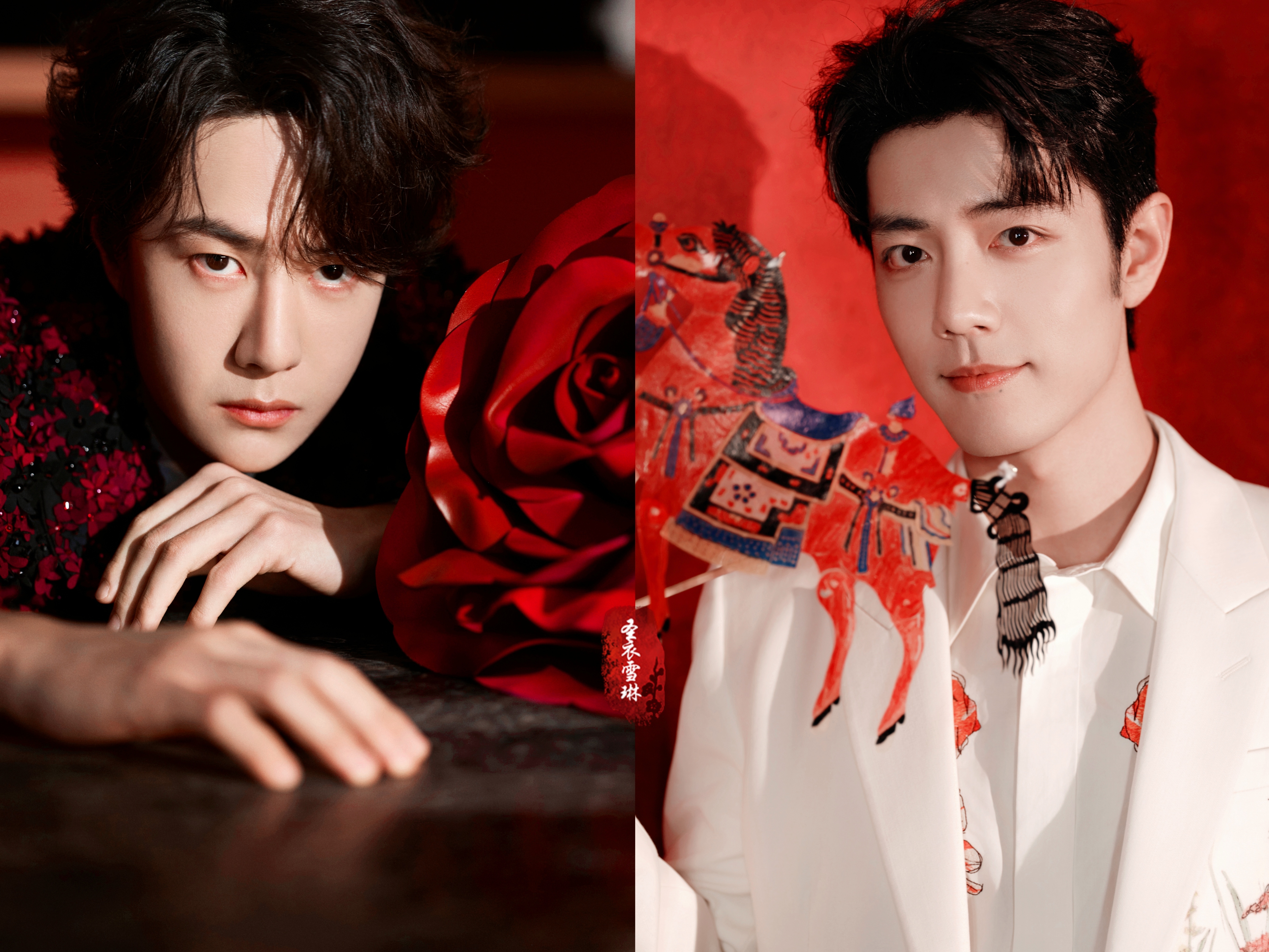 博君一肖 最美玫瑰花🌹和最强养花人👄取图留名