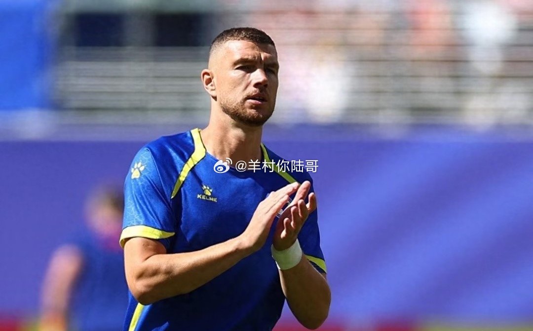 在世界杯1/16决赛的一场非重量级对话中，东道主之一的美国队以2-0战胜波黑队，