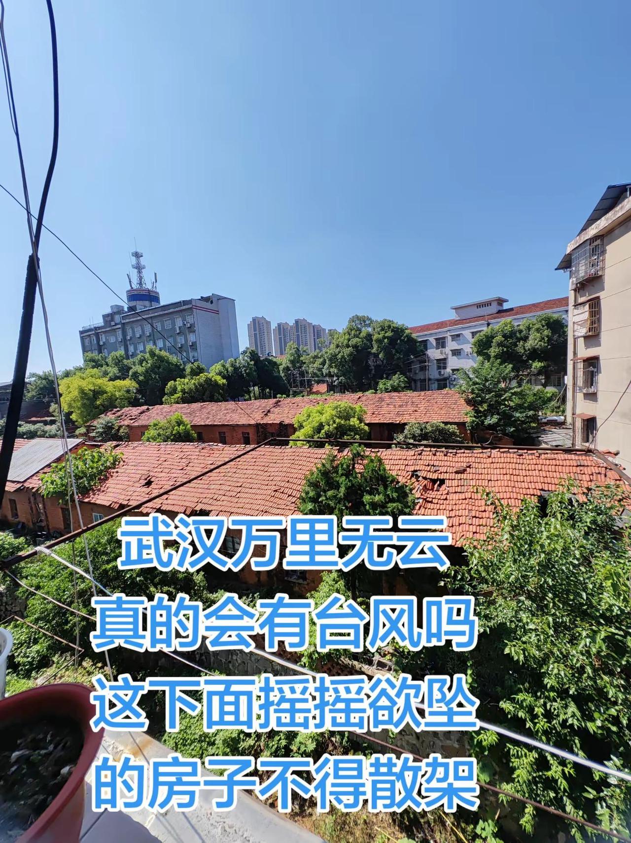 台风真的来武汉吗？这是7月10号拍的，13号再拍对比一下