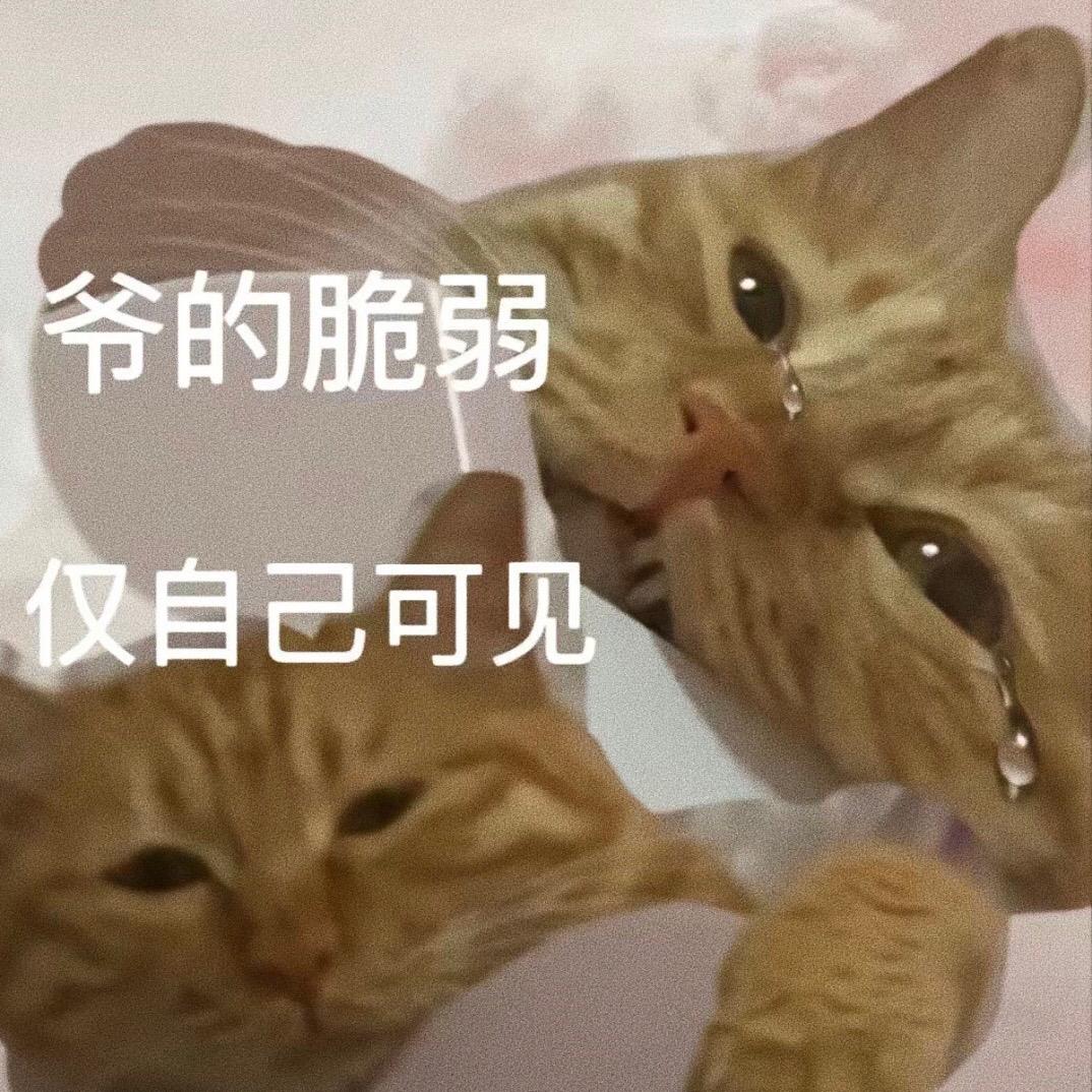 分享一些可爱表情包。趣味表情包 #创作灵感