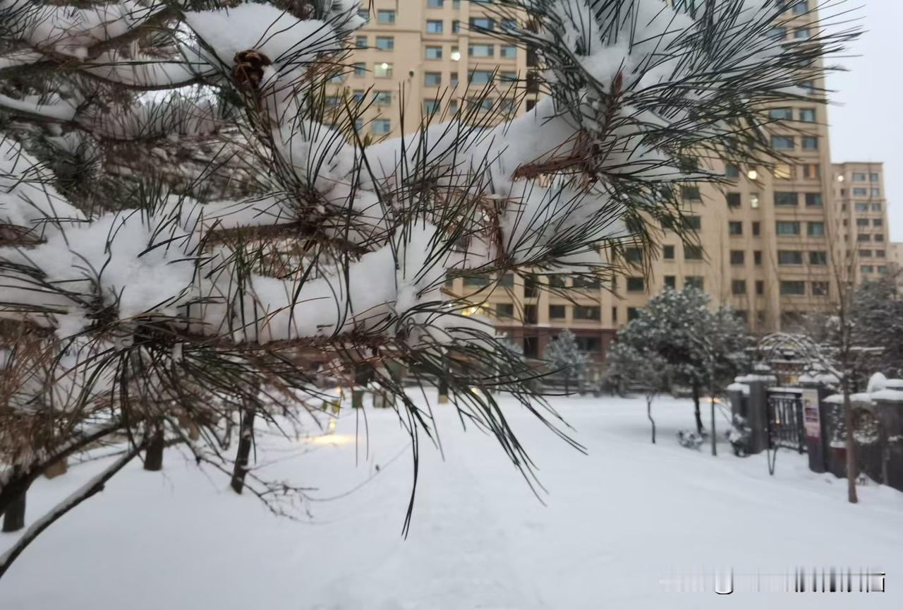 新的一年想多陪陪谁过年的气息有了吗？大家身边发现了吗