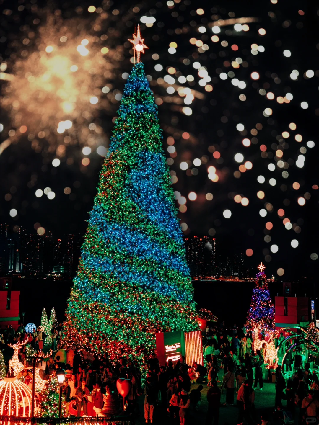 2024🎄全网期待的海边圣诞树终于来了🇭🇰