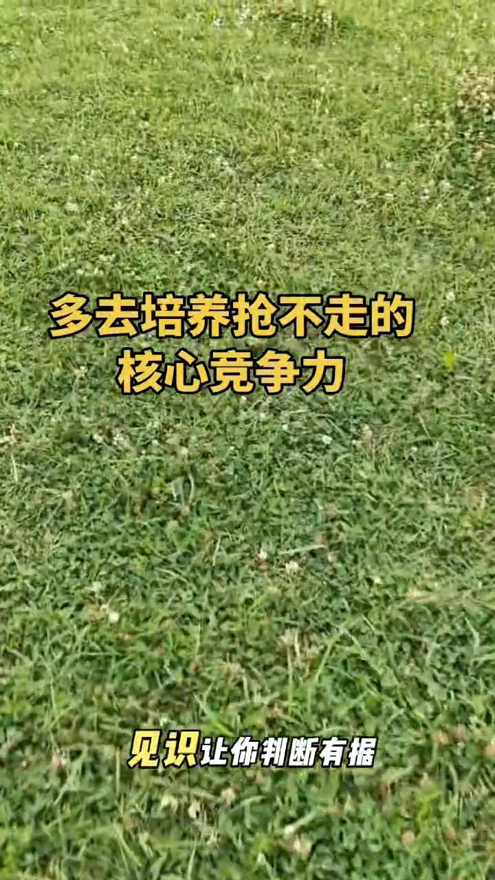 人一定要多去培养那些别人抢不走的东西，才华让你不可替代，见识让你判断有据，阅历让