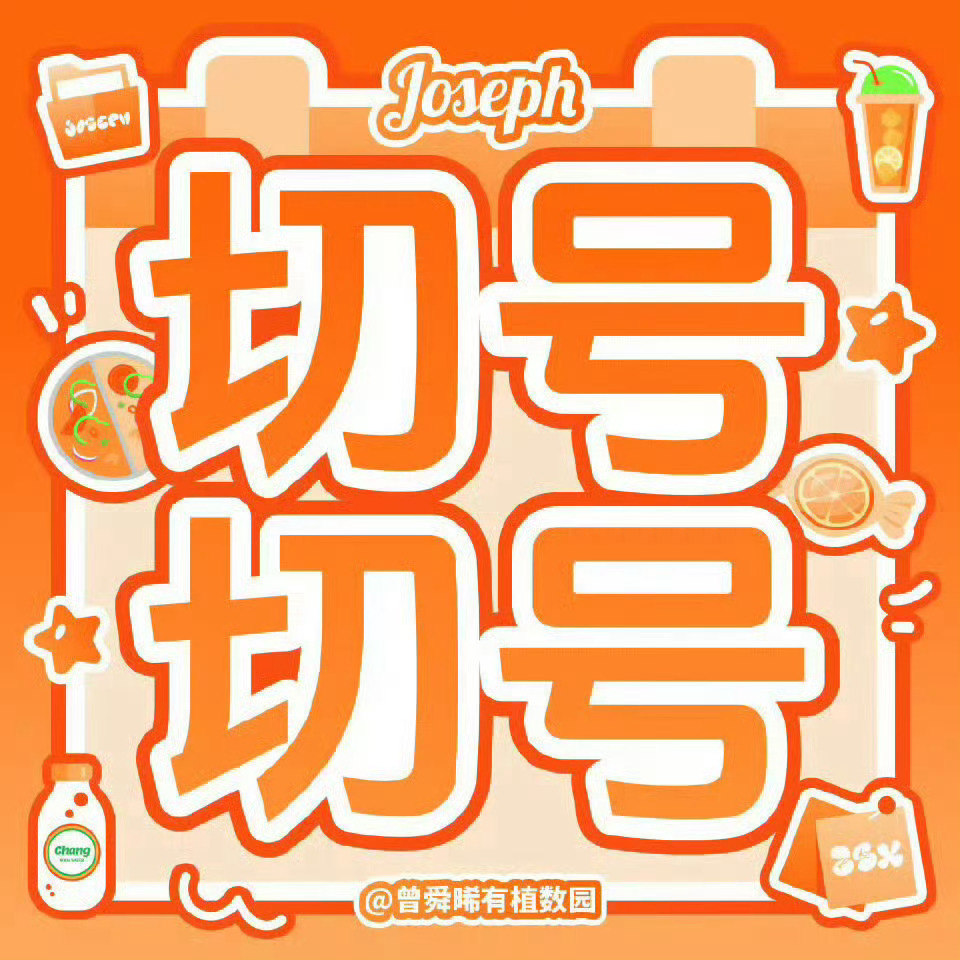 曾舜晞吴老狗zsx曾舜晞九门小晞发博！！速来打铁！！网页链接