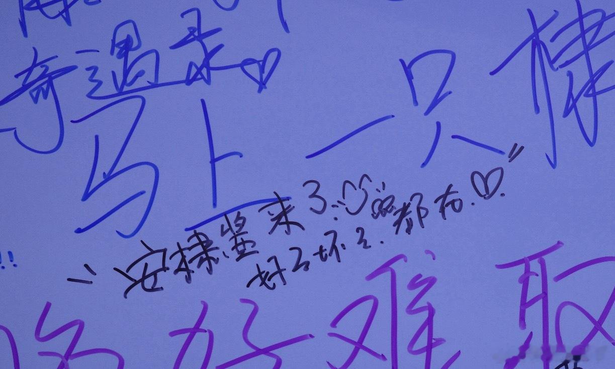 一直在💜 