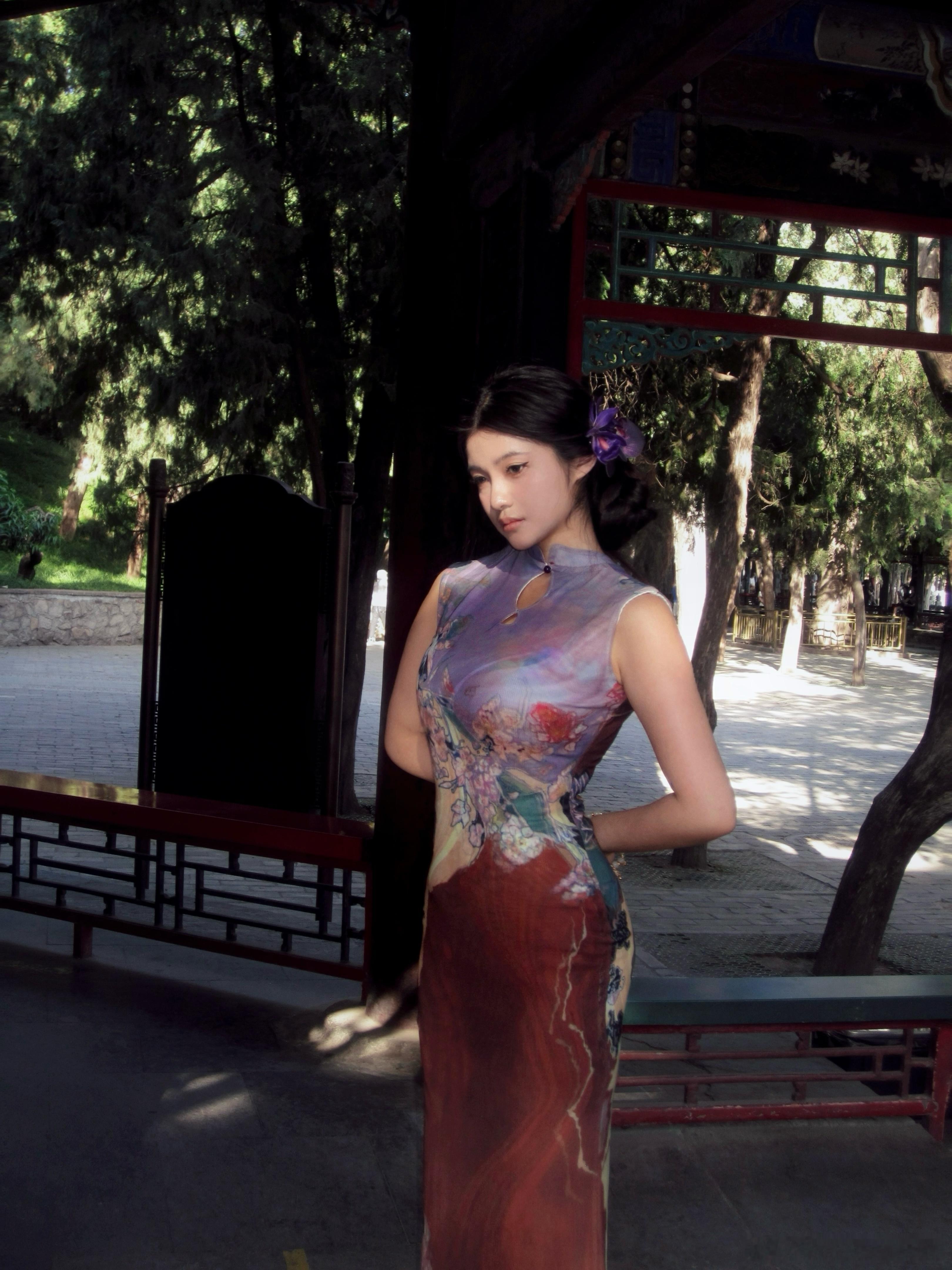 不曾吹落北风中  ​​​