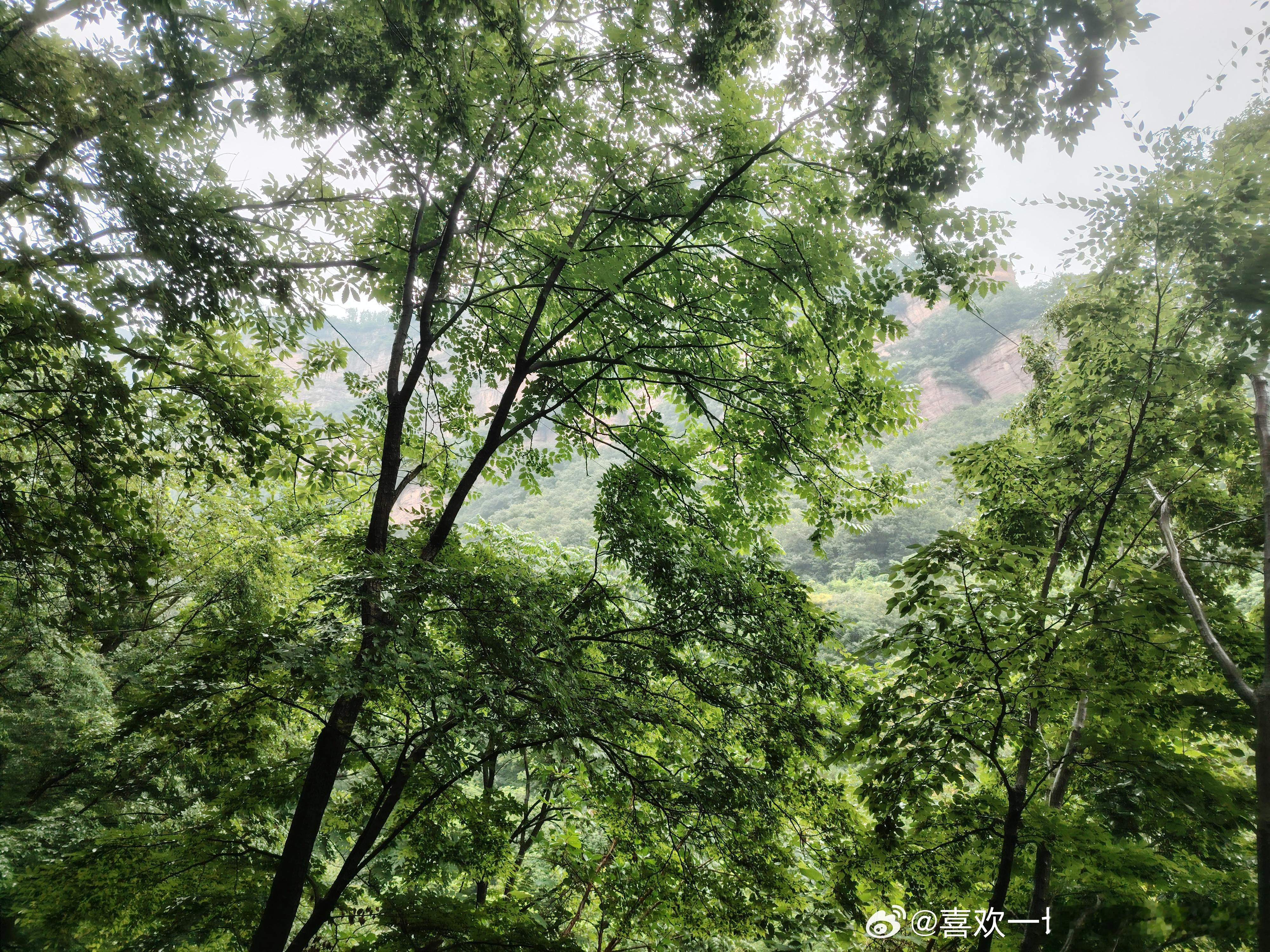 雨中登山，山色空蒙雨亦奇。 