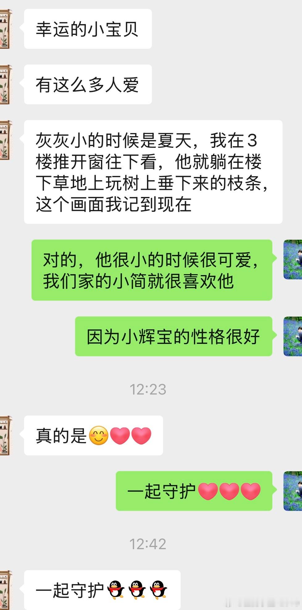 早上❤️小灰宝从树林里出来和卷宝愉快地玩耍。我把照片发给邻居妹妹,就是那位曾经想