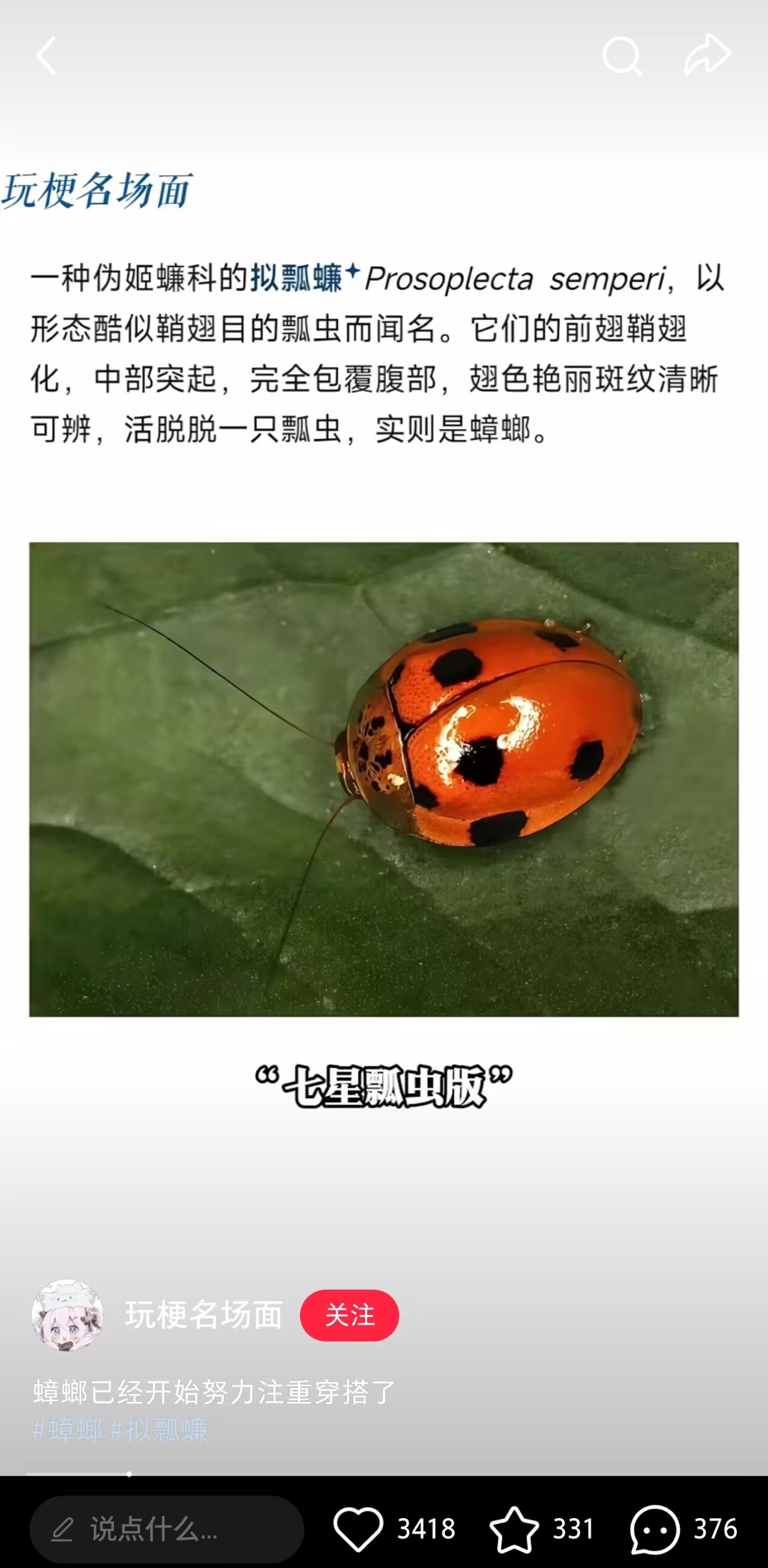 还有拟态蟑螂
