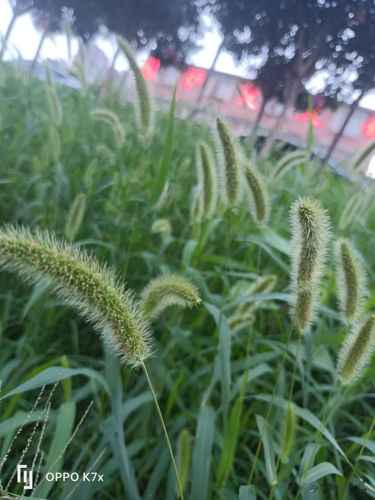 学会躲人，就是聪明人