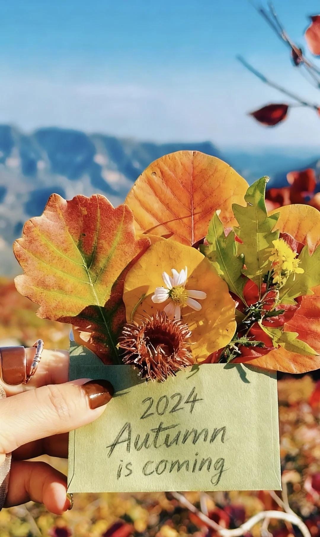 坡峰岭秋天倒计时⏰一场视觉盛宴！🍁
📅 红叶巅峰期预警
初红期：10月中旬（