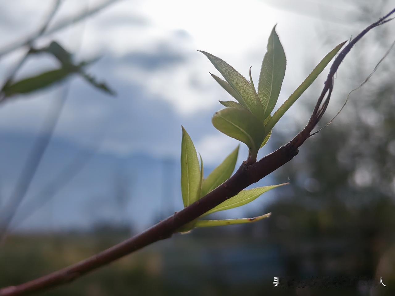 断更了两天，不知道对流量会不会有影响？

爱咋咋地，反正也不当回事了。

只是一