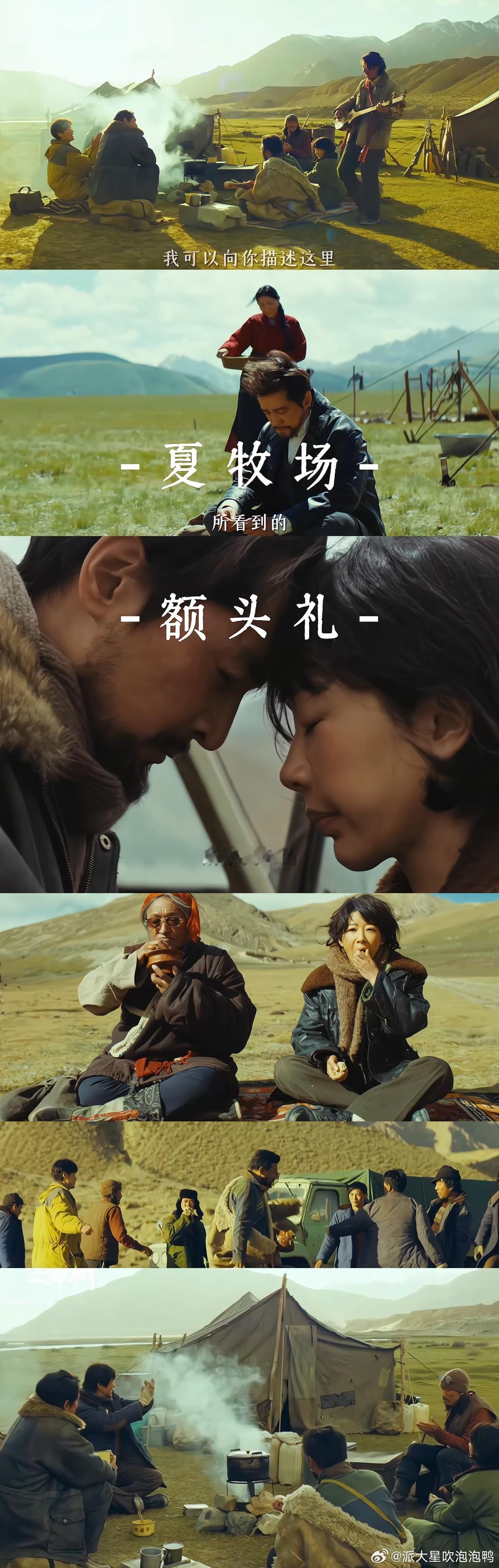 碰额头是比言语更郑重的叮嘱被《生命树》里的师徒互动打动，白菊临行前多杰的每一个举