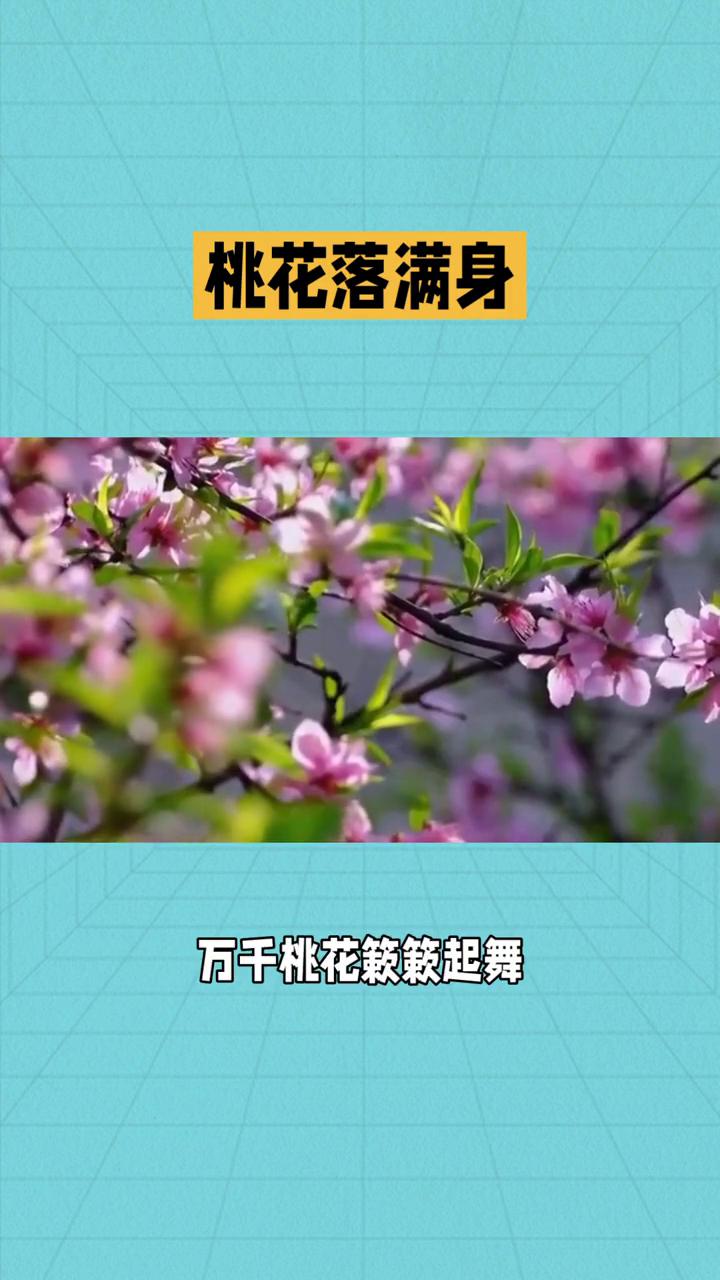 桃花落满身，欢喜入心头。春日迟迟，光景正新。推窗远眺，忽见对面山坡上已是一片绯云