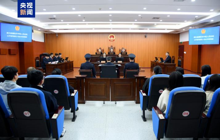 十四届全国政协教科卫体委员会原副主任杨小伟，一审被判12年