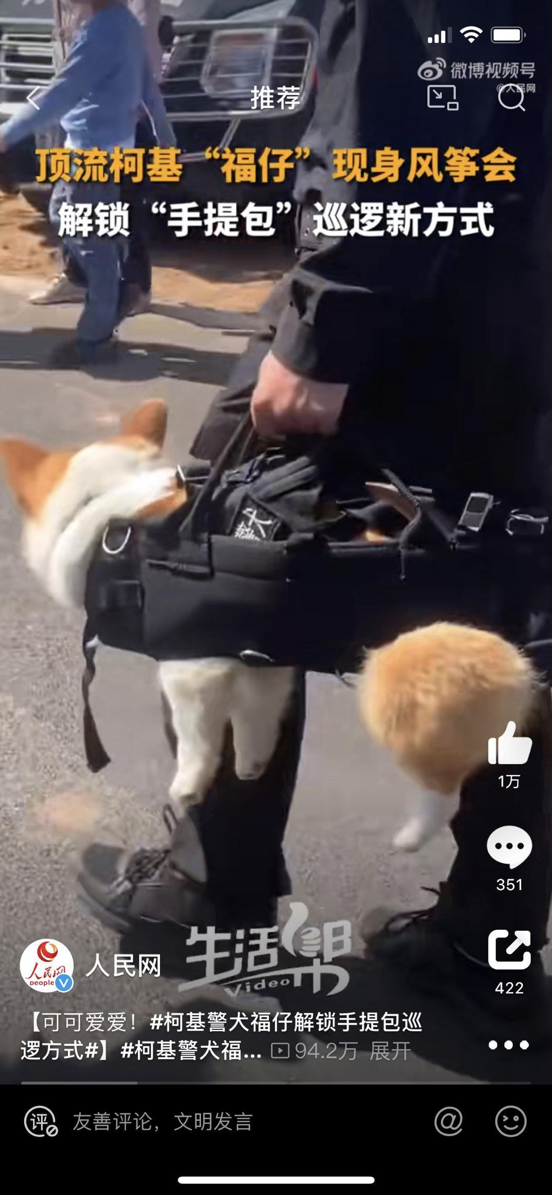 我就想问一下福仔的训导员是不是比其他训导员工资高啊毕竟只有他每天需要负重上班[d