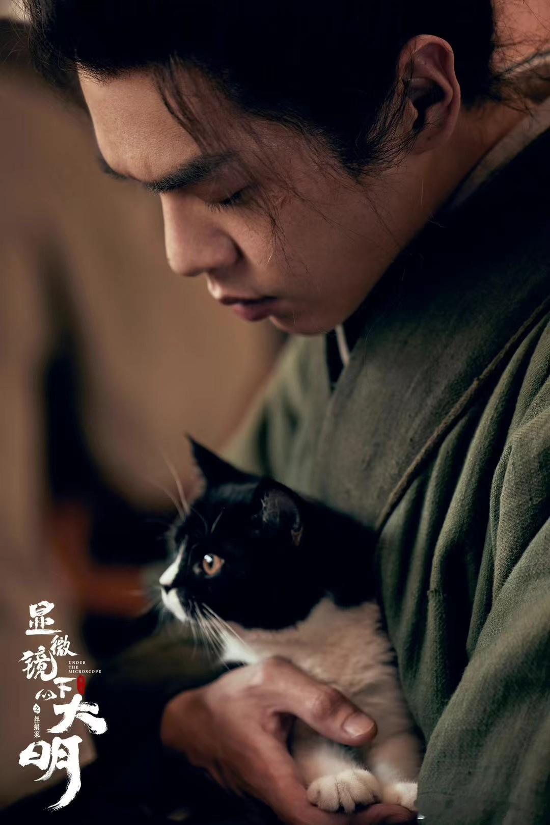 张若昀陈千里 ☁️张若昀高风 这优越的眉骨默默一袭布衣也难掩容姿，纯净的小算仙