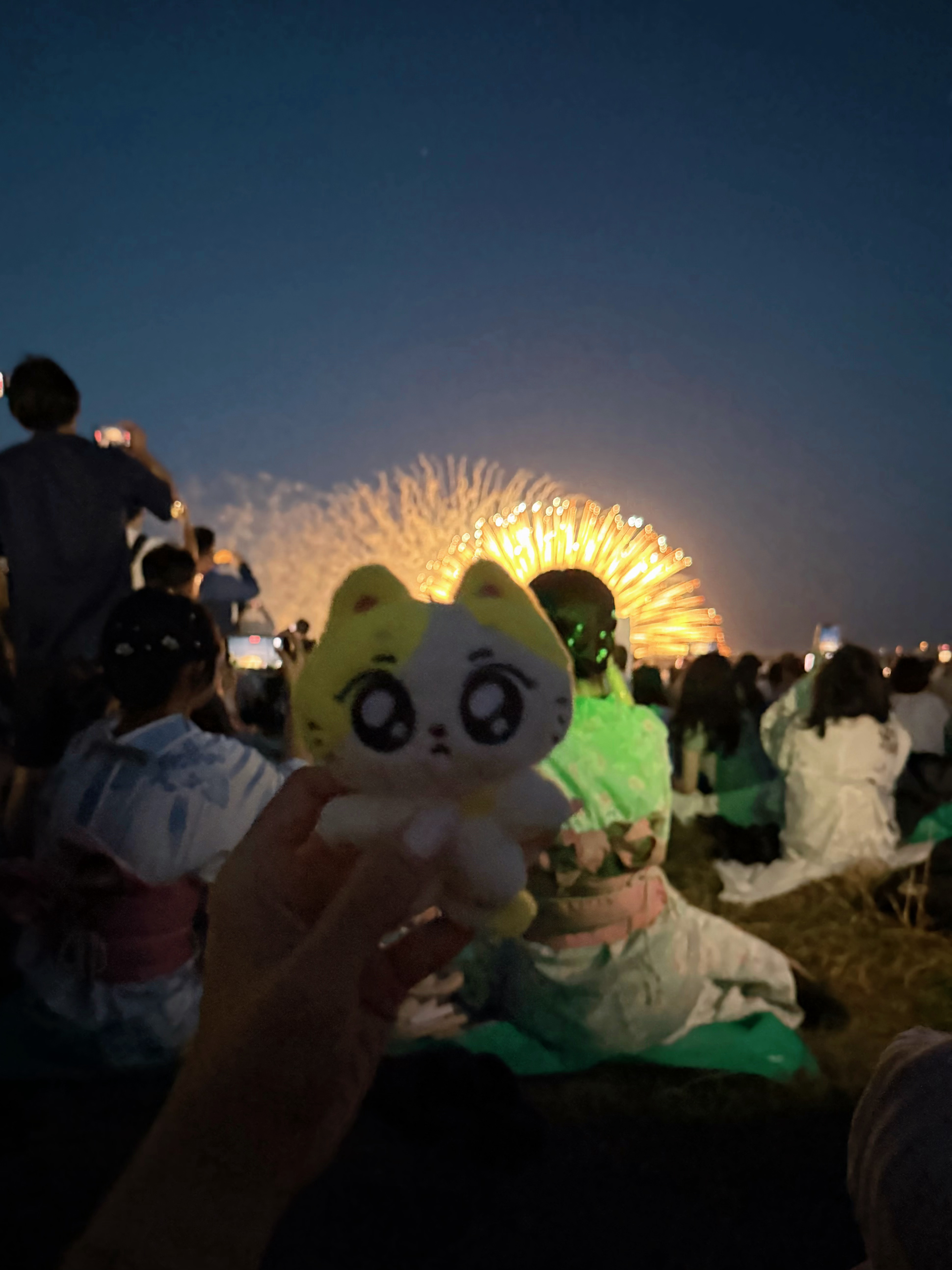 带孩子看了花火大会 
