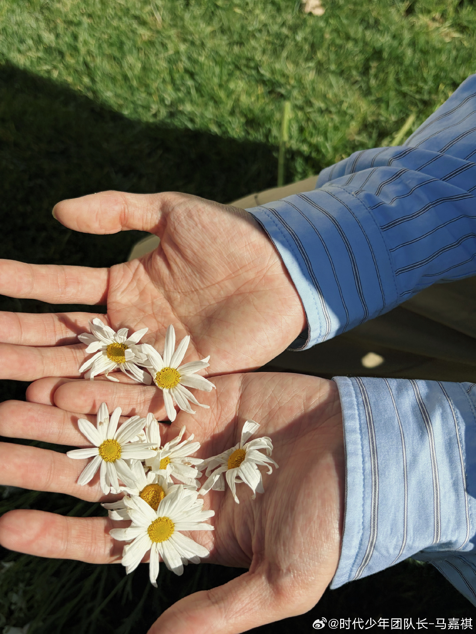 马嘉祺去踏青随拍 马嘉祺更新去踏青随拍蓝色条纹衬衫清爽帅气，阳光下超治愈周末福利