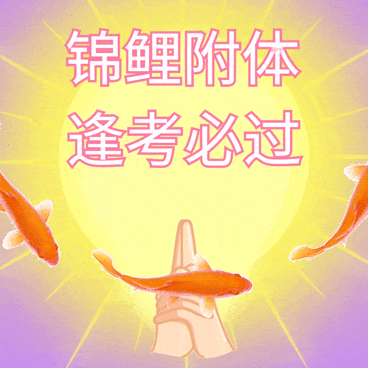 2024年淄博实验中学禀赋班（自主招生）各学校录取情况（仅供参考）
张店八中 2