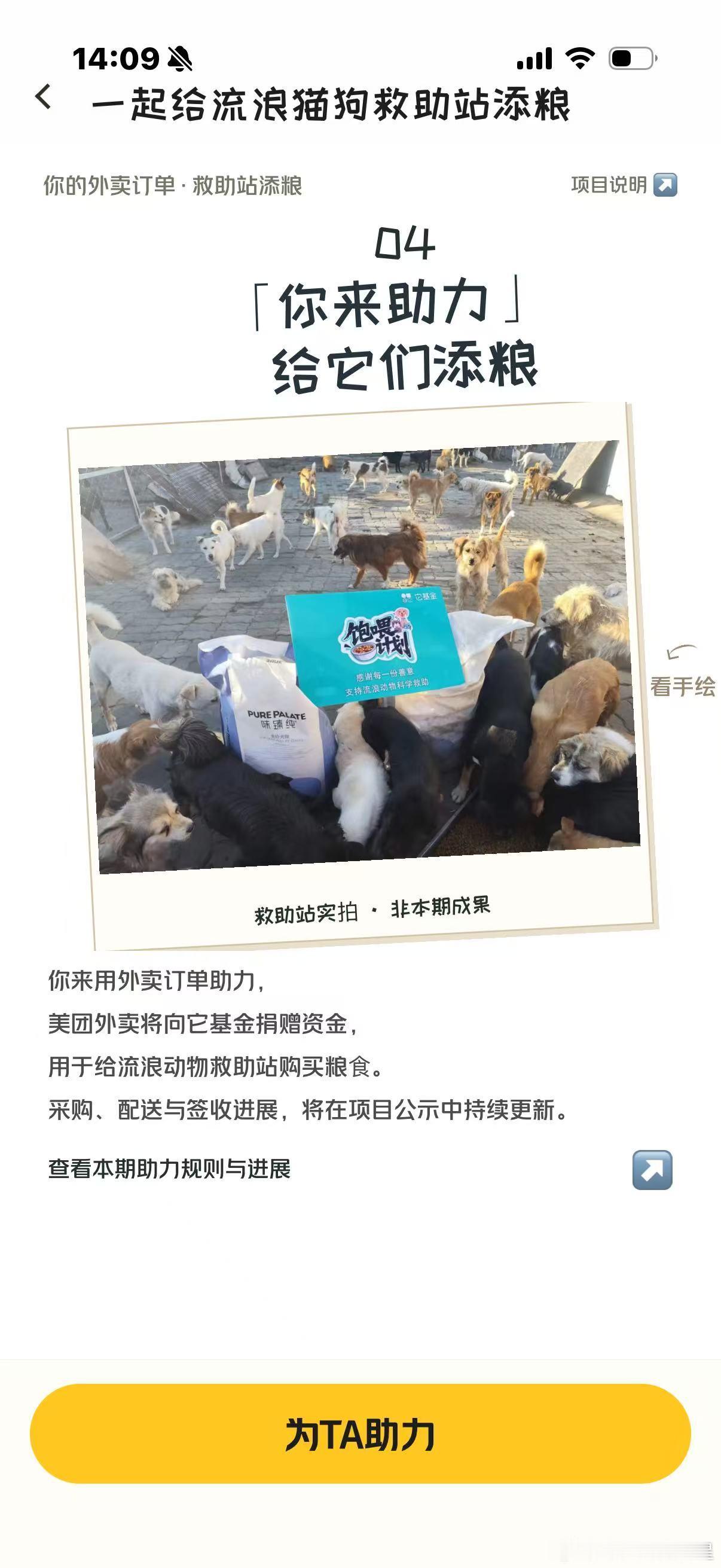 中秋来北京出游的养宠人有福了北京美团外卖流浪动物公益活动热闹有趣，众多犬猫欢聚，