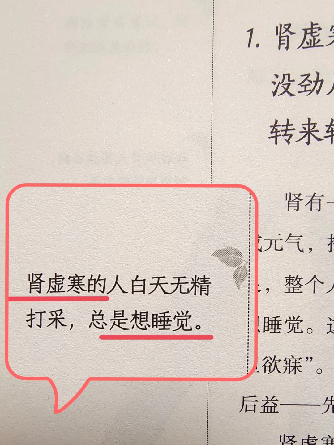 黄帝内经——养肾的智慧，你会用得上🔥