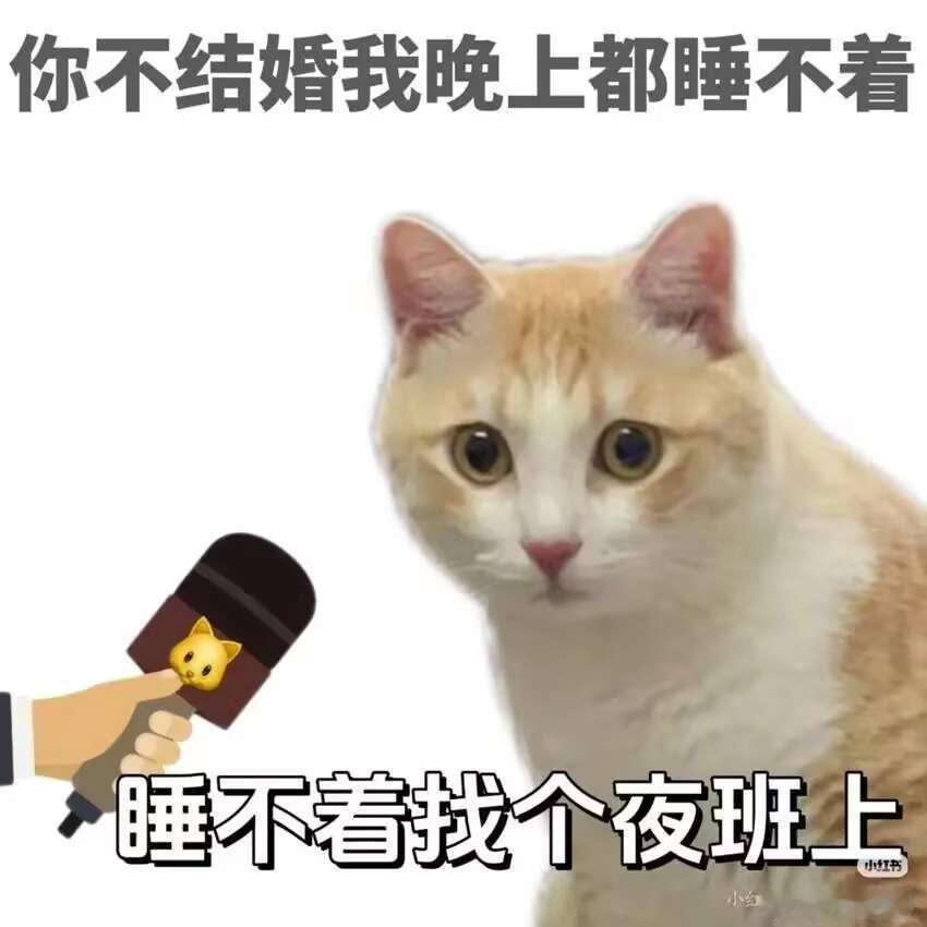 我每天都在群里看了些什么…… 