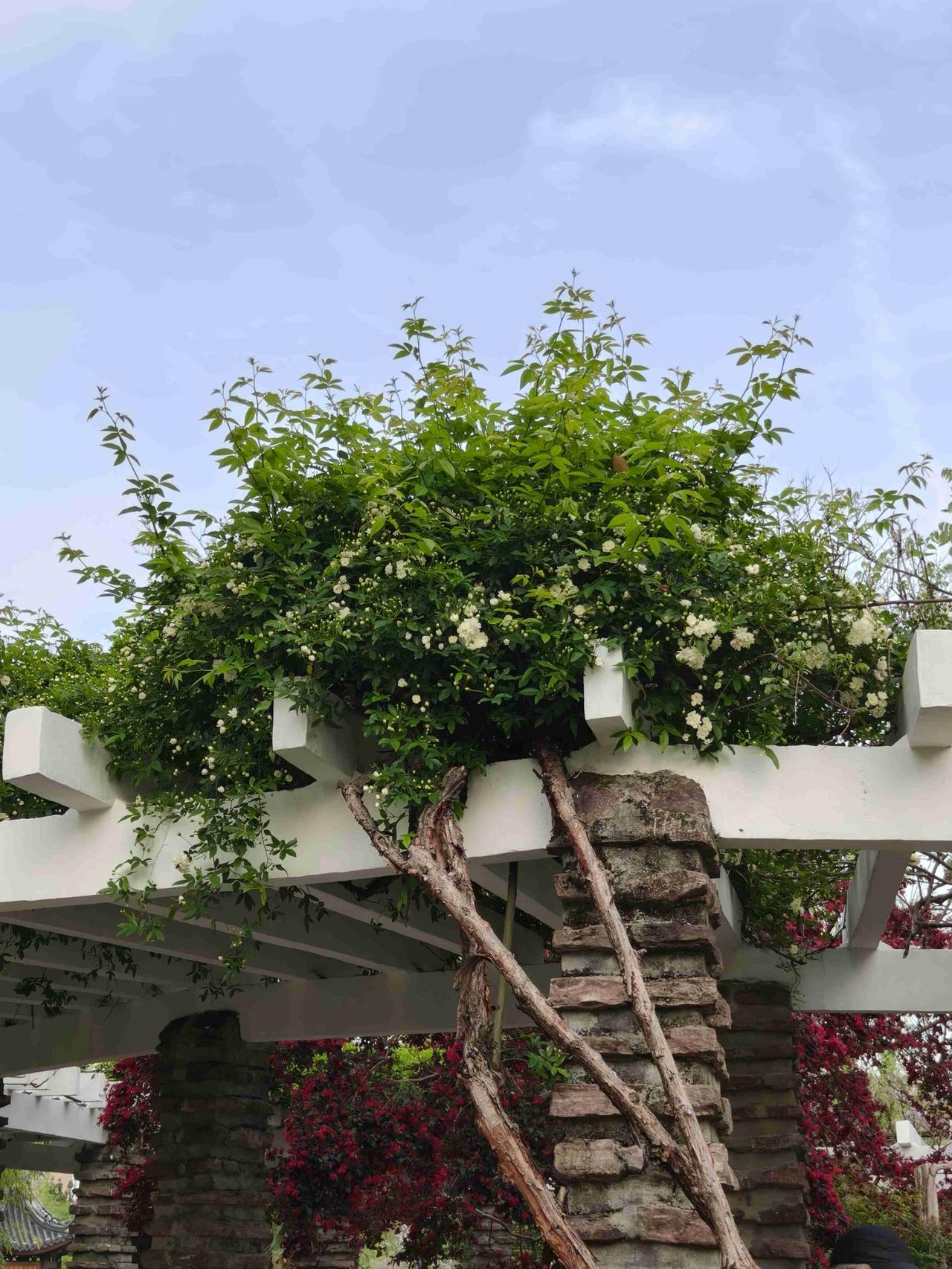 我的今日状态：🏝️旅行度假
我这里的天气：🍂微风