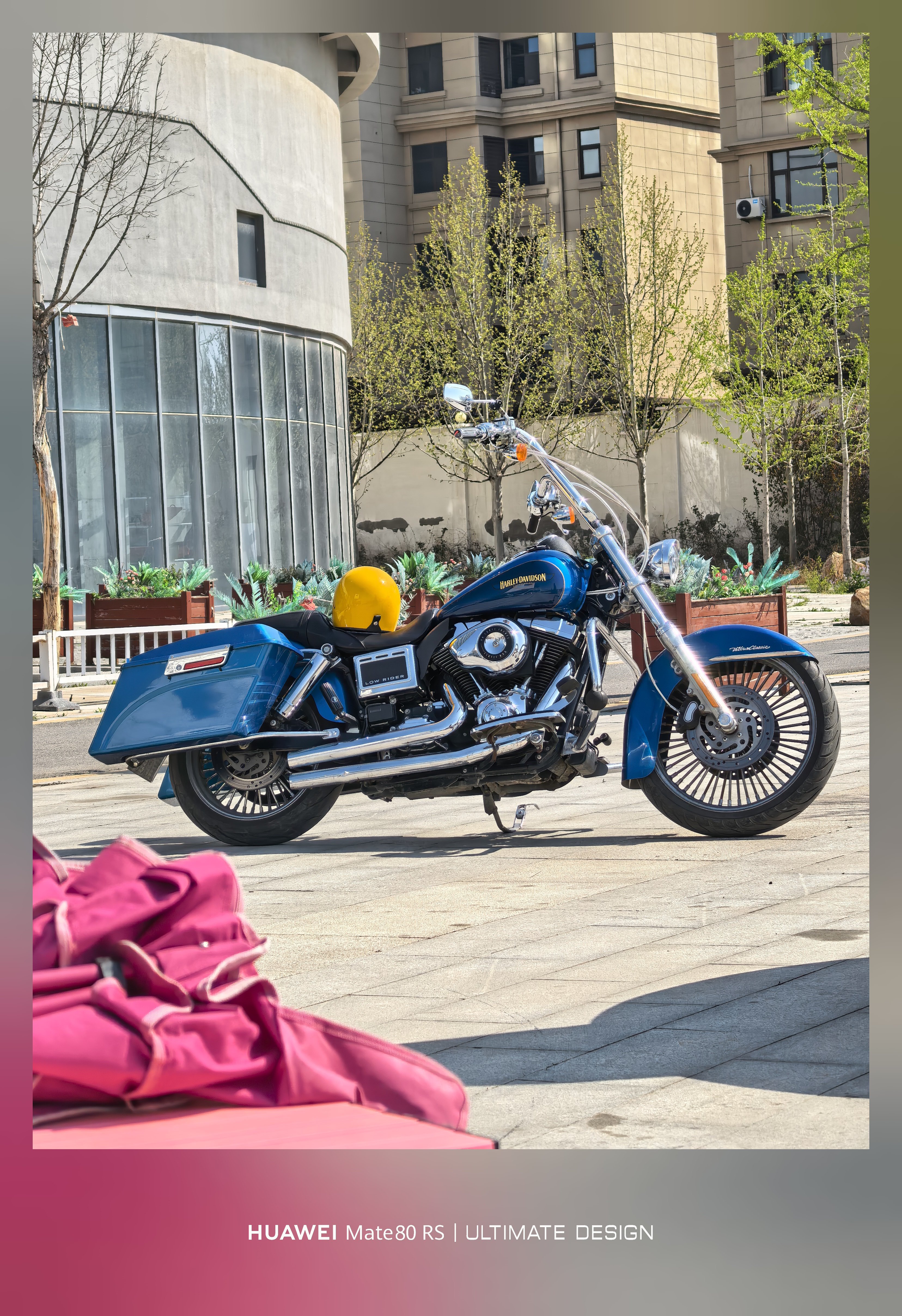 这天晒晒太阳真是太舒服了！大家假期都有啥安排？