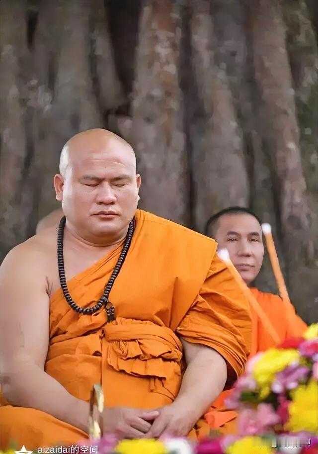[祈祷][祈祷][祈祷]
云南省佛教协会副会长、云南佛学院副院长、西双版纳州佛教